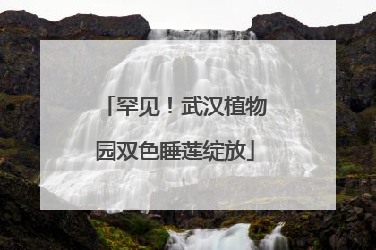 罕见！武汉植物园双色睡莲绽放