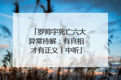 罗帅宇死亡六大异常待解：有真相才有正义丨中听