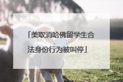 美取消哈佛留学生合法身份行为被叫停
