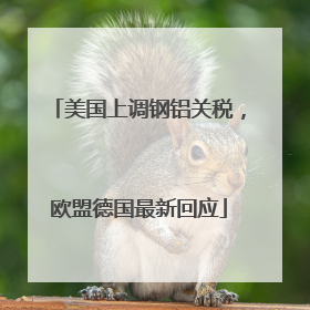 美国上调钢铝关税，欧盟德国最新回应