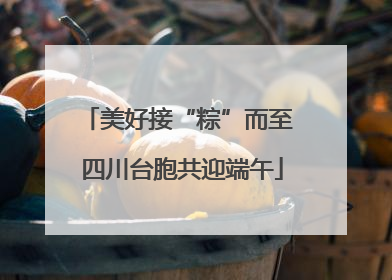 美好接“粽”而至 四川台胞共迎端午