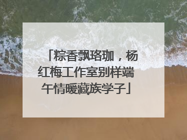 粽香飘珞珈，杨红梅工作室别样端午情暖藏族学子