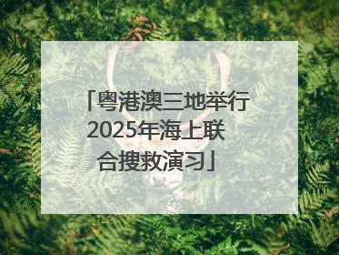 粤港澳三地举行2025年海上联合搜救演习