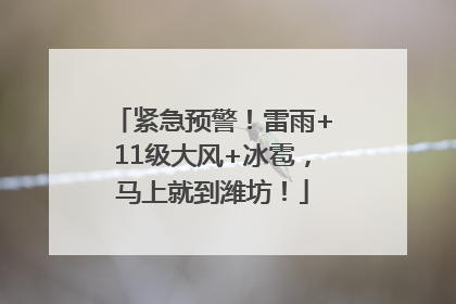紧急预警！雷雨+11级大风+冰雹，马上就到潍坊！