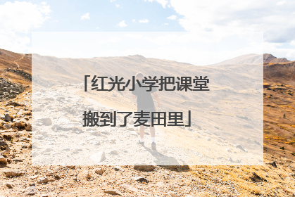 红光小学把课堂搬到了麦田里