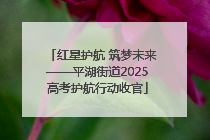红星护航 筑梦未来——平湖街道2025高考护航行动收官