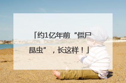约1亿年前“僵尸昆虫”，长这样！