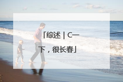综述｜C一下，很长春