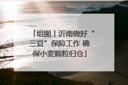 组图丨沂南做好“三夏”保障工作 确保小麦颗粒归仓