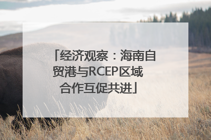 经济观察：海南自贸港与RCEP区域合作互促共进