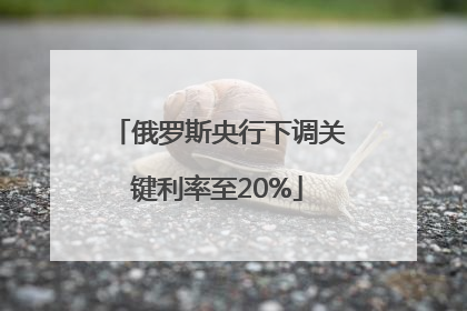 俄罗斯央行下调关键利率至20%