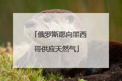 俄罗斯愿向墨西哥供应天然气