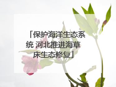 保护海洋生态系统 河北推进海草床生态修复