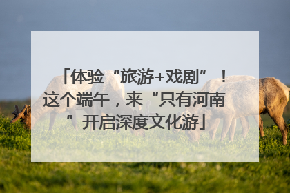 体验“旅游+戏剧”！这个端午，来“只有河南”开启深度文化游