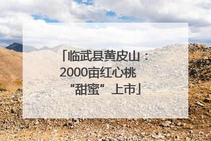 临武县黄皮山：2000亩红心桃“甜蜜”上市