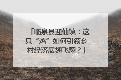 临泉县迎仙镇：这只“鸡”如何引领乡村经济展翅飞翔？