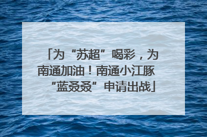 为“苏超”喝彩，为南通加油！南通小江豚“蓝叒叒”申请出战