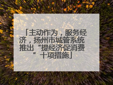 主动作为，服务经济，扬州市城管系统推出“提经济促消费”十项措施