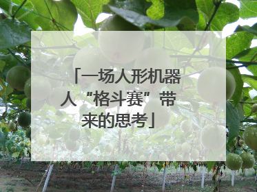 一场人形机器人“格斗赛”带来的思考