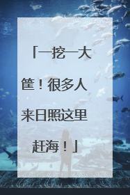 一挖一大筐！很多人来日照这里赶海！