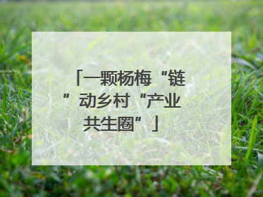 一颗杨梅“链”动乡村“产业共生圈”