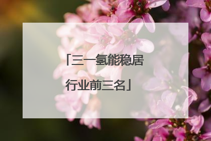 三一氢能稳居行业前三名