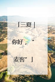 三夏｜你好，“麦客”
