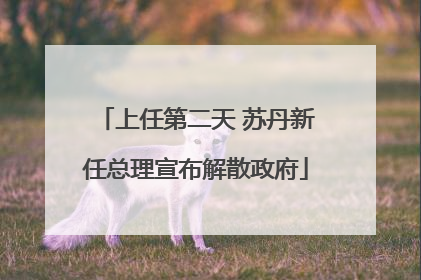 上任第二天 苏丹新任总理宣布解散政府