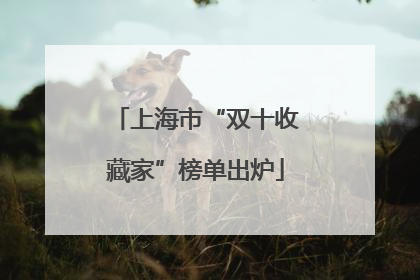 上海市“双十收藏家”榜单出炉