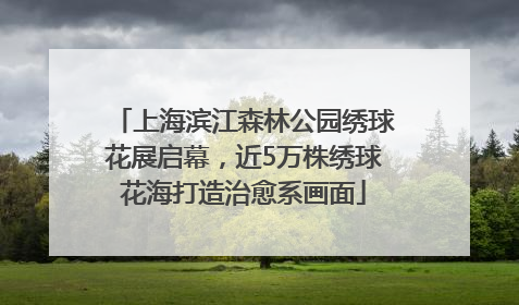 上海滨江森林公园绣球花展启幕，近5万株绣球花海打造治愈系画面