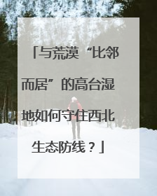 与荒漠“比邻而居”的高台湿地如何守住西北生态防线？