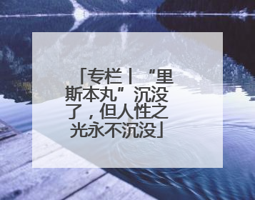 专栏丨“里斯本丸”沉没了,但人性之光永不沉没