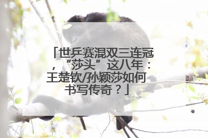 世乒赛混双三连冠，“莎头”这八年：王楚钦/孙颖莎如何书写传奇？