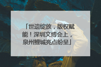 世遗绽放，版权赋能！深圳文博会上，泉州鲤城亮点纷呈
