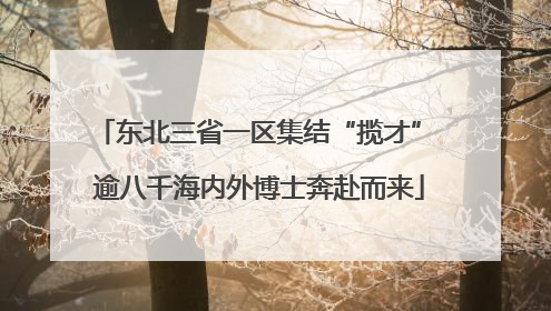 东北三省一区集结“揽才” 逾八千海内外博士奔赴而来