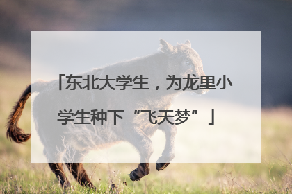 东北大学生，为龙里小学生种下“飞天梦”