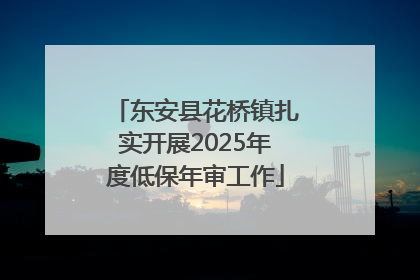 东安县花桥镇扎实开展2025年度低保年审工作
