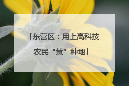 东营区：用上高科技 农民“慧”种地