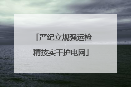 严纪立规强运检 精技实干护电网