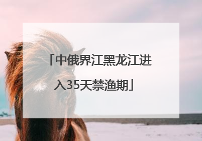 中俄界江黑龙江进入35天禁渔期