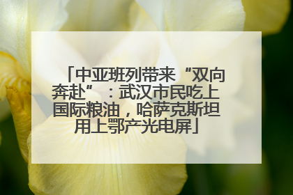 中亚班列带来“双向奔赴”：武汉市民吃上国际粮油，哈萨克斯坦用上鄂产光电屏