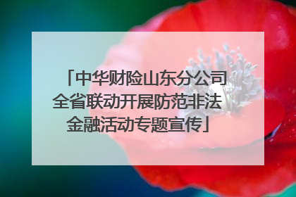 中华财险山东分公司全省联动开展防范非法金融活动专题宣传