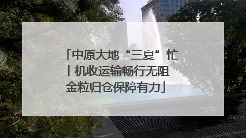 中原大地“三夏”忙丨机收运输畅行无阻 金粒归仓保障有力