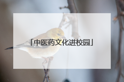 中医药文化进校园