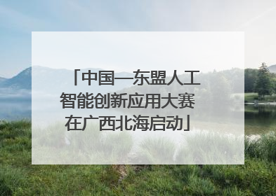 中国—东盟人工智能创新应用大赛在广西北海启动