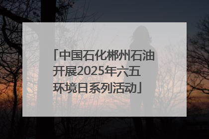 中国石化郴州石油开展2025年六五环境日系列活动