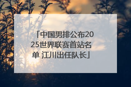 中国男排公布2025世界联赛首站名单 江川出任队长