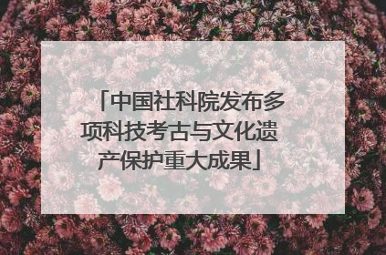 中国社科院发布多项科技考古与文化遗产保护重大成果