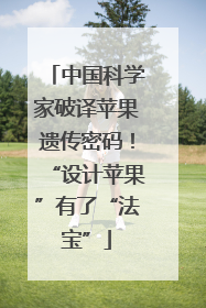 中国科学家破译苹果遗传密码！“设计苹果”有了“法宝”