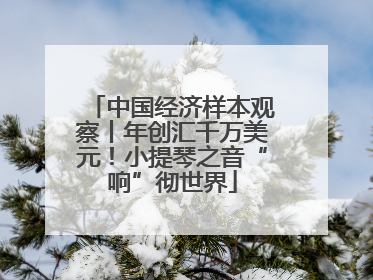 中国经济样本观察丨年创汇千万美元！小提琴之音“响”彻世界